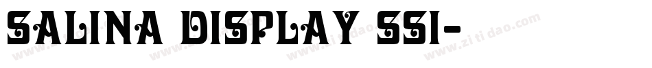 Salina Display SSi字体转换